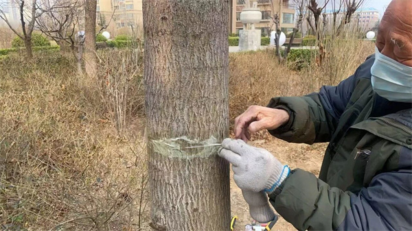微信图片_2026-03-17_132608_098.jpg