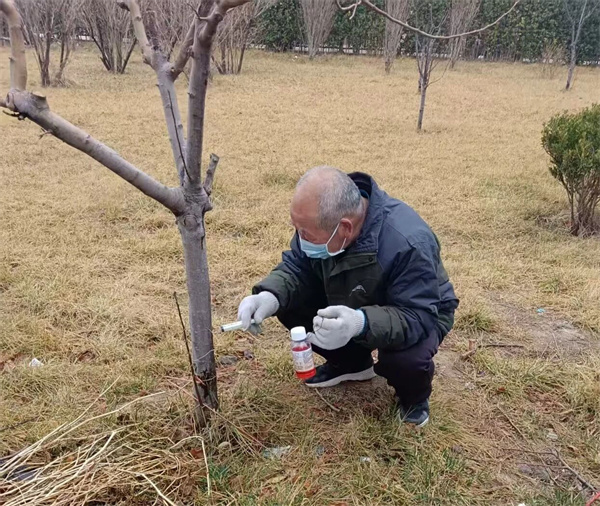微信图片_2026-03-17_132616_926.jpg