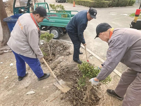 山东信达物业公司安顺东区项目开展植树增绿、美化家园活动