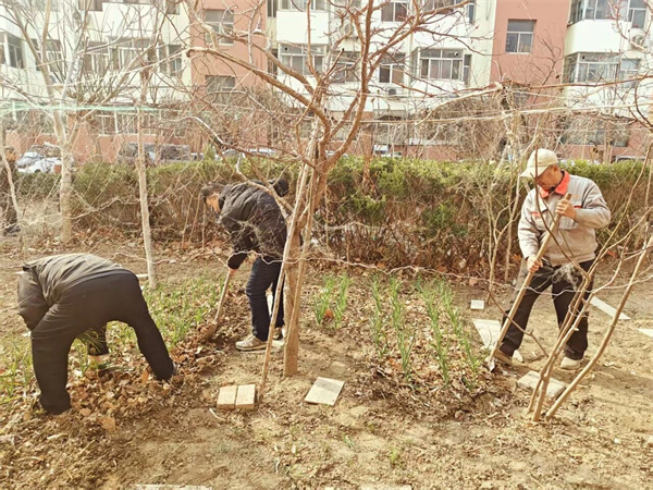 山东信达物业公司良种场项目开展植树增绿、美化家园活动