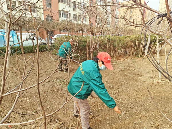 微信图片_2026-03-17_133534_721.jpg